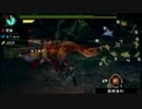 【MHP3】三丁目狩猟日記４【ドスフロギィ】