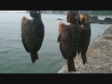 【釣り】釣りへ行こう！part1-4【アウトドア】