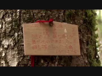 ホモと学ぶ青木ヶ原樹海