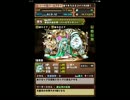 【パズドラ】風の戦国龍 地獄級ノーコン【光パール】