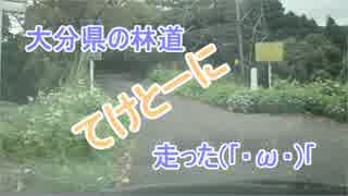 大分県の林道、てけとーに走った(｢・ω・)｢