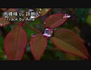 ニコラップ : 雨模様 : 詩朗人