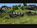 【２回目】日浦登山口-西山-綱繰山-西赤石山 縦走編 part2 （2014.7.11）