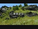 【２回目】日浦登山口-西山-綱繰山-西赤石山 縦走編 part3 （2014.7.11）