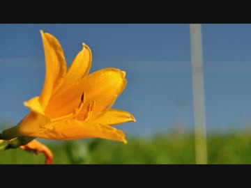 2014-07-12 ビーナスラインツーリング