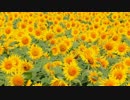 【ニコカラ】Good-bye days【off vocal】