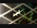 ヤモリが捕食するだけの動画
