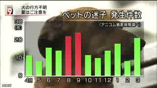 「犬には受難の季節」保護数３倍以上に