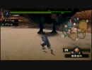 20140713 【MHP2G】 一乙縛りで村・集会場をクリア 2/3