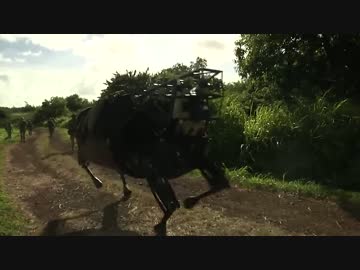 RIMPAC2014にて海兵隊にテストされるBIGDOG
