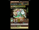 【パズドラ】トト＆ソティス降臨 超地獄級ノーコン【光パール】