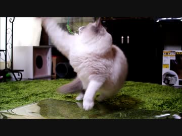 時定くんの空振りがひどすぎる