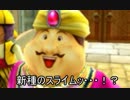【イルルカ3DS】スライムたちとマルタを救え！part1【字幕実況プレイ】