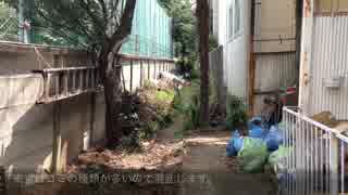 【東京東小金井】東京掃除【2回目】