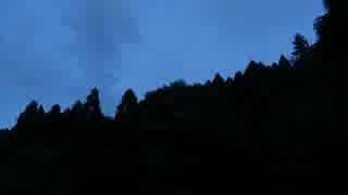 ひぐらしの鳴き声を撮ってみた