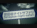 【幼い私が過ごした街】世田谷ナイトサファリ歌ってみた【熊耳子】