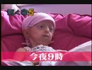 輝く命 CMだけ