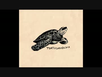 tortuganónima - Dan Cob