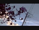 奏(かなで) piano ver.　歌ってみた【すずしろ】
