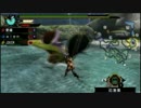 【MHP3】三丁目狩猟日記５【クルペッコ】