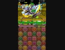 【パズドラ】トト&ソティス降臨 超地獄級 木諸葛亮PT【虹番対策ver】