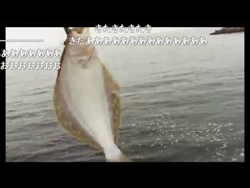 2014年07月16日 ヒラメ