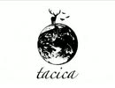 LEO tacica
