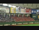 IMG_1166[1].MOV