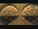 【実況】書物と戦士と兵器と_『NieR Gestalt』　#21