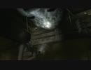 【実況】お化け屋敷に入れない男が「零～月蝕の仮面～」に挑戦 Part35
