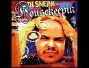 Summer Song / DJ Sneak