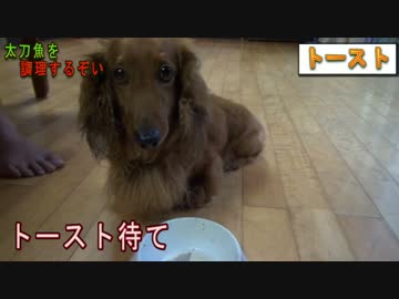 【料理】海の妖刀太刀魚を調理！【わんわんお】