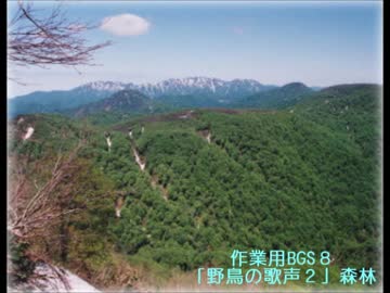 作業用BGS８　「野鳥の歌声２・山地と亜高山の森林で～カッコー等」