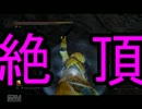 【検証】絶頂で最大ダメージだしてみた（真）【不遜なる者のメイス】