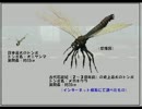【酔いどれ夫婦】TOKYO JUNGLEを生き残る vol.5  前編【実況】