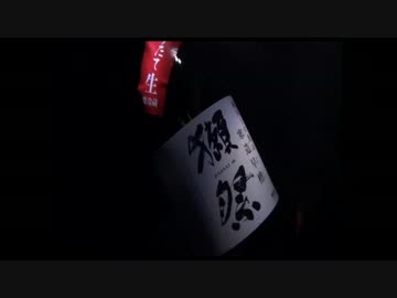 キツネの野宿　きみまち坂　その4 ラスト