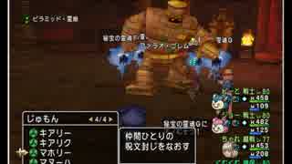 【DQX】ピラミッド第4の霊廟、ソロサポ（自僧、サポ戦士2魔戦1）