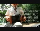レット・イット・ゴー　コンサーティーナで演奏してみたら・・・