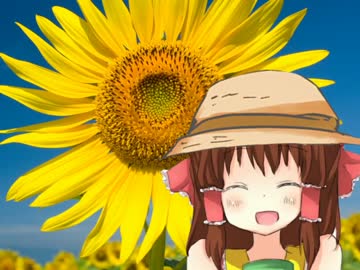 菊次郎の神社.summer