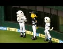 2014.6.15西武vs阪神試合前