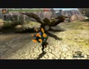 【MH3G】今更タンジアの港でハンティング☆１[テスト]