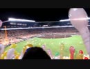 オールスター2014　セ・リーグ全得点シーン(外野撮影)20140719甲子園球場
