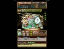 【パズドラ】紅の海賊龍 地獄級ノーコン【光パール】