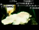 盾の想いを剣に込めてゼルダの伝説トワイライトプリンセスを実況6