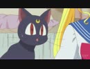 さらにビクンビクンするルナ【MAD】