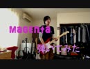 [ナノ、ダルP]magenta[PPP]