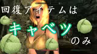 [Skyrim]キャベツしか食べてはいけないスカイリムpart1[ゆっくり実況]