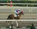 【競馬 de フィールライブ！】2008.2.22 内田博幸騎手大井ラストラン