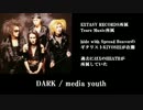 【92年生まれが作ってみた】90年代V系作業用BGM【黎明期編Ⅱ】