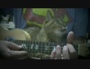 ねことウクレレ（8）